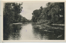 CPA 82 NEGREPELISSE Les Bords De L'Aveyron Peu Commune - Negrepelisse