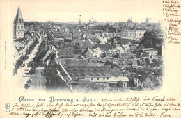 Bernburg A. Saale Panorama 1901 AKS - Bernburg (Saale)