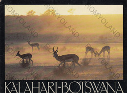CARTOLINA  KALAHARY, BOTSWANA, REGIONE DESERTICA DELL"AFRICA MERIDIONALE,VIAGGIATA 1992 - Botswana