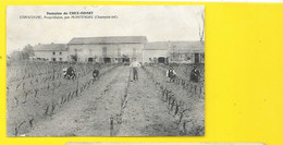 MONTENDRE Domaine De CHEZ-ODART Chancogne () Chte Mme (17) - Montendre