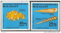 MADAGASCAR Coquillages, Coquillage, Shell, Conchas, Yvert N°983/84 ** Neuf Sans Charniere. - Coneshells