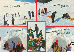 Vacance à La Neige - Luge Ski Igloo - Sports D'hiver