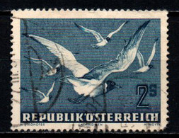 AUSTRIA - 1950 - UCCELLI IN VOLO: I GABBIANI - DENTE CORTO ALL'ANGOLO IN BASSO - USATO - Used Stamps