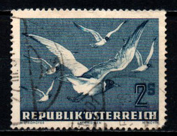 AUSTRIA - 1950 - UCCELLI IN VOLO: I GABBIANI - DENTE CORTO ALL'ANGOLO IN BASSO - USATO - Gebraucht