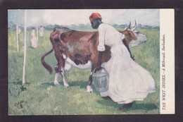 CPA Antilles > Barbades Illustrateur Oilette Tuck's Négritude Black Voir Le Dos Non Circulé Vache - Barbados (Barbuda)