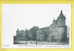 * New York City (USA) * (Pub By Illustrated Postal Card Co, 233 Broadway, Nr 104) Museum Of Natural History, Old - Musées
