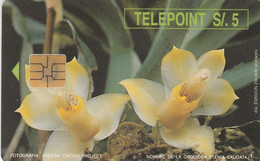 Peru, PER-TE-046 , Orchids, Stenia Caudata, (White Reverse), Flowers, 2 Scans . - Pérou