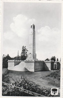 SOIGNIES MONUMENT AUX MORTS - Soignies