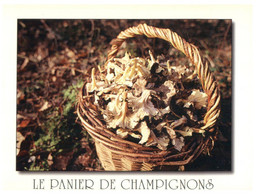 (DD 6) Mushrooms / Champignons (France) - Cultures