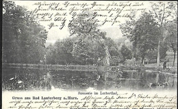 Gruss Aus Bad   Lauterberg Am Harz Szenerie Im Lutterthal  AK 1904 - Bad Lauterberg