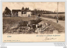 GERIMONT ..--  Nels 74 , N°11 . Fontaine . 1902 Vers TIRLEMONT ( Melle Marguerite GORDON? ) . Voir Verso . - Sainte-Ode