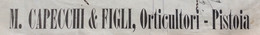 PUBBLICITA' ADVERTISING  SU BIGLIETTI DELLE FERROVIE DELLO STATO - PISTOIA  20 DICEMBRE 1919 - Europa