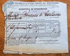 STRADE FERRATE DEL MEDITERRANEO - RICEVUTA SPEDIZIONE DA TORINO A GARLASCO IN DATA 11 GIUGNO 1904 - Europa