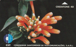 São Tomé And Príncipe, ST-CST-0005, Flower 4, 2 Scans. - Sao Tome En Principe