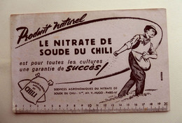 Ancien Buvard Publicitaire LE NITRATE DE SOUDE DU CHILI Pour Toutes Les Cultures - Agriculture