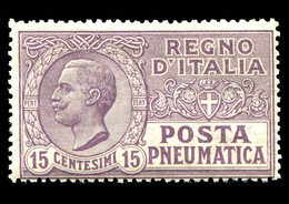 REGNO Posta Pneumatica 1921 Valore 15c. MNH** Violetto Bruno MNH** Integro - Poste Pneumatique