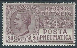 REGNO Posta Pneumatica 1925 Valore 20c. MNH** Violetto Bruno Integro - Pneumatic Mail