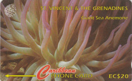 St. Vincent & The Grenadines, STV-142C, Sea Anemone,  2 Scans. - Saint-Vincent-et-les-Grenadines