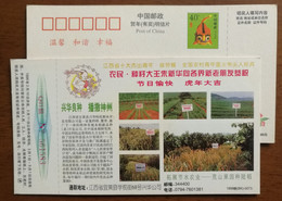Aerobic Rice Planting In Barren Hill & Garden,China 1998 Xinghua Improved Variety Rice Seed Advert Pre-stamped Card - Agriculture