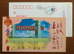 Rice Field,China 2005 Shanggao Agricultural Science-technology Demonstration Park Advertising Pre-stamped Card - Agriculture
