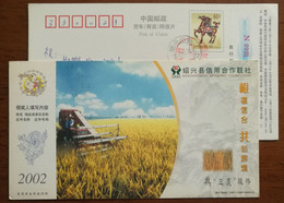 Rice Field Harvest,reaping Machine,China 2002 Shaoxing Municipal Credit Union Advertising Postal Stationery Card - Agriculture