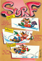 Dessin A Mermin - Carte Moderne Sur Les Sports D'Hiver Humour - Surf  - Montée Virage Freinage - Sports D'hiver