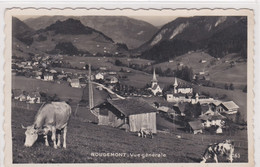 Rougemont. Vue Générale Avec Vaches. Ligne M.O.B. Carte-photo - Rougemont