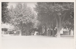 CPSM 84 MONTEUX BOULEVARD DE VERDUN    STYLE CARTE-PHOTO - Monteux