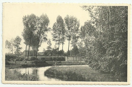 § - KASTERLEE  -  De Nete Aan Den Watermolen Te Houtem - Kasterlee