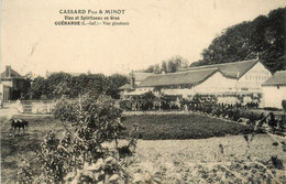 Guérande * Vue Générale Entreprise CASSARD Fils Et MINOT * Vins Spiritueux En Gros * Marchand - Guérande