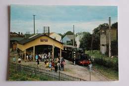 Delcampe - Musée Des Transports De Pithivier - La Gare Du Tortillard - Pithiviers