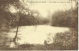 Notre - Dame  Au  Bois -- Une Belle Vue Dans La Forêt.     (2 Scans) - Overijse