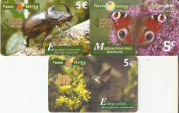 ¡¡OFERTA!! LOTE DE LAS 3 ULTIMAS TARJETAS FAUNA IBERICA POR SÓLO 1,50 EUROS (MARIPOSA-BUTTERFLY) - Sonstige & Ohne Zuordnung