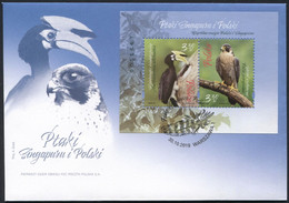 2019 Birds Of Singapore And Poland, Bird Birds, Joint Issue Edition White-bellied Hornbill, Peregrine Falcon FDC - Cartas & Documentos