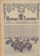 DEUTSCHLAND --  WW2  --  MITTEILUNGEN FUR DIE LANDWIRTSCHAFT  --  Nr. 3  --  JANUAR 1943  --  BLUT UND BODEN - Duits