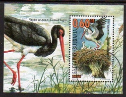 BULGARIA 2000 Nature Protection: Stork Block.  Michel Block 242 - Unused Stamps