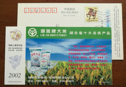 Huqin Brand Refined Rice,hubei Top Ten Famous-quality Products,unhusked Rice,CN 02 Xiantao Grain Bureau Pre-stamped Card - Agriculture