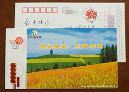 Hillside Planting,China 2007 Lishui City Second National Agricultural Census Advertising Pre-stamped Card - Agriculture