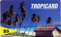 CODETEL-RSL : DMTR02 $5  TROPICARD House And Palms $5 On Yellow USED - Dominik. Republik