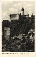 CPA AK Montabaur - Schloss Montabaur GERMANY (1069176) - Montabaur