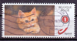 België - Duostamp - Katten - Zonder Papierresten - Used