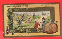 15 Chromos THEME  Le Vin  La Vigne  Viticulture  Raisins  Grapes  Vendages  Calendrier  1877 - Wine