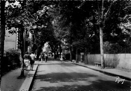 St Gilles Sur Vie * Avenue De La Plage - Saint Gilles Croix De Vie