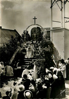 Ile Aux Moines * Procession De La Fête Dieu * Fête Religieuse - Ile Aux Moines