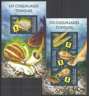CA302 2015 CENTRAL AFRICA CENTRAFRICAINE FAUNA MARINE LIFE SEASHELLS COQUILLAGES KB+BL MNH - Conchas