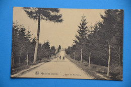 Gedinne-Station 1921: Route De Bouillon Animée - Gedinne