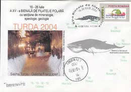 NORTH POLE, ARCTIC WILDLIFE, COMMON MINKE WHALE, SPECIAL COVER, 2004, ROMANIA - Arctische Fauna