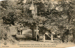 Berthemont Les Bains * Allée Des Bains Et Montée De L'hôtel Des Bains * Promeneurs - Autres & Non Classés