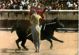 Fréjus * Les Arènes * Corrida - Frejus