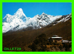 NÉPAL - THYANGBOCHE MONASTRY & MT. AMADABLAM - NEW HOTEL CRYSTAL, POKHARA - - Népal